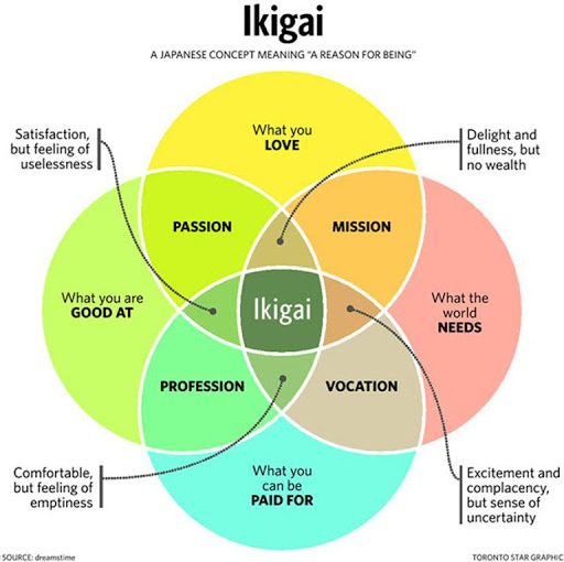 My thoughts on IKIGAI